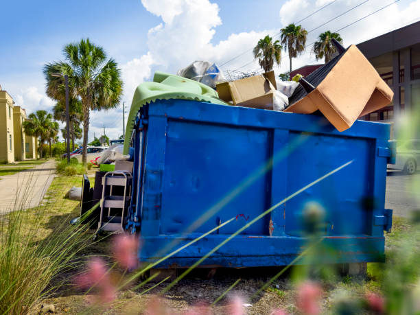 Best Yard Cleanup Services  in St Peter, MN